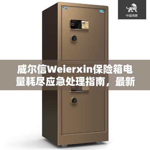威尔信Weierxin保险箱电量耗尽应急处理指南，最新动态解读