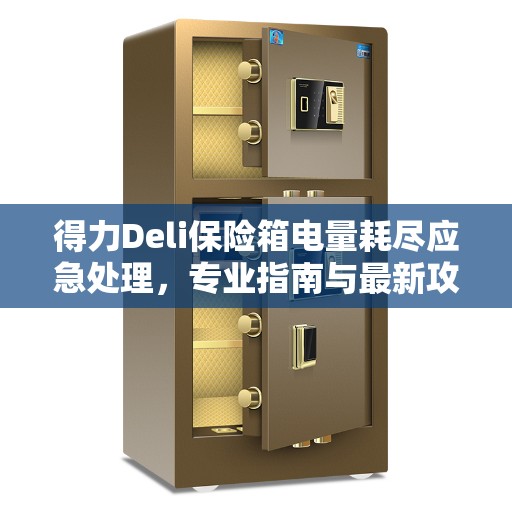 得力Deli保险箱电量耗尽应急处理，专业指南与最新攻略