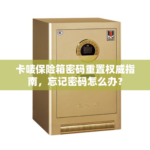 卡唛保险箱密码重置权威指南，忘记密码怎么办？