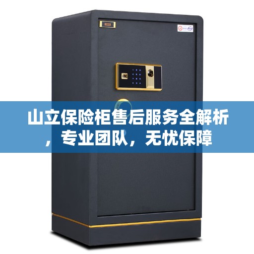 山立保险柜售后服务全解析，专业团队，无忧保障