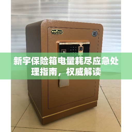 新宇保险箱电量耗尽应急处理指南，权威解读