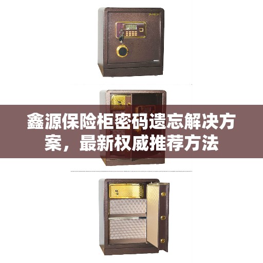 鑫源保险柜密码遗忘解决方案，最新权威推荐方法