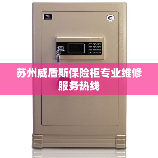 苏州威盾斯保险柜专业维修服务热线