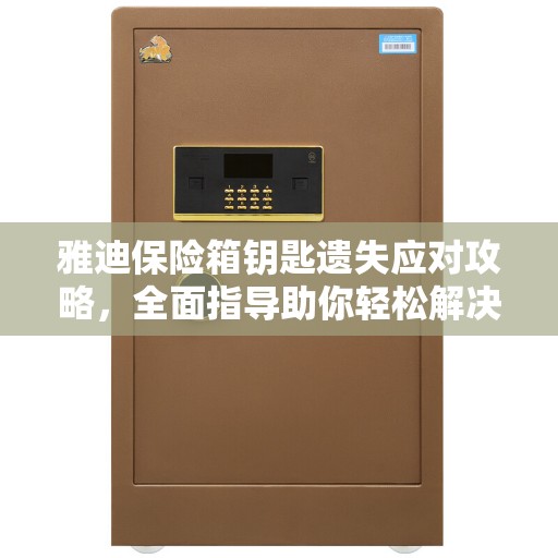 雅迪保险箱钥匙遗失应对攻略，全面指导助你轻松解决难题