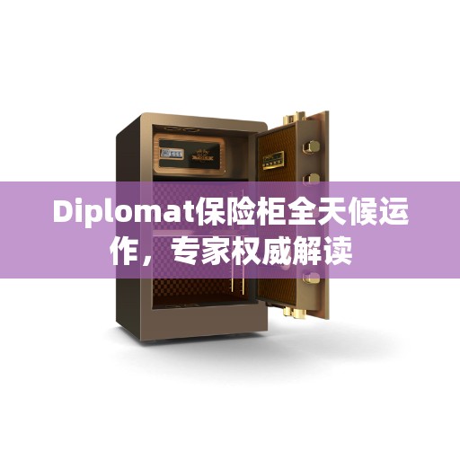Diplomat保险柜全天候运作，专家权威解读