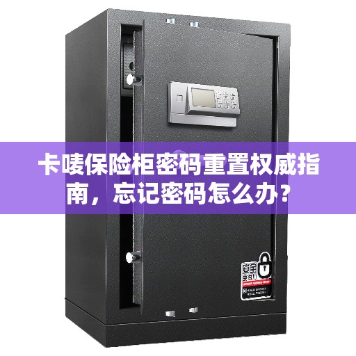 卡唛保险柜密码重置权威指南，忘记密码怎么办？