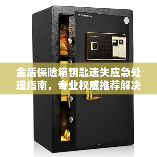 金盾保险箱钥匙遗失应急处理指南，专业权威推荐解决方案