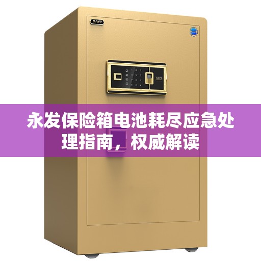 永发保险箱电池耗尽应急处理指南，权威解读