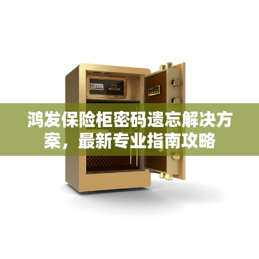 鸿发保险柜密码遗忘解决方案，最新专业指南攻略