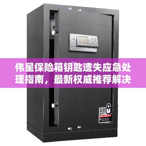 伟星保险箱钥匙遗失应急处理指南，最新权威推荐解决方案