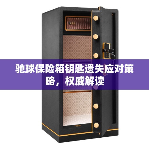 驰球保险箱钥匙遗失应对策略，权威解读