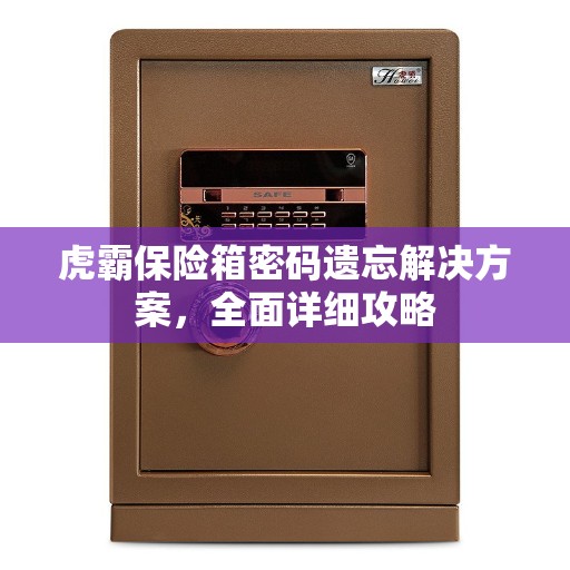虎霸保险箱密码遗忘解决方案，全面详细攻略