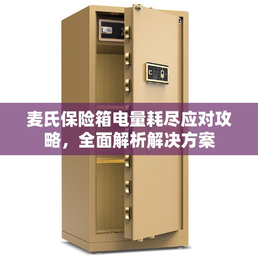 麦氏保险箱电量耗尽应对攻略，全面解析解决方案