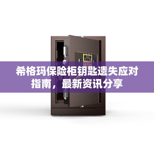 希格玛保险柜钥匙遗失应对指南,最新资讯分享 希格玛保险柜钥匙遗失应对指南,最新资讯分享