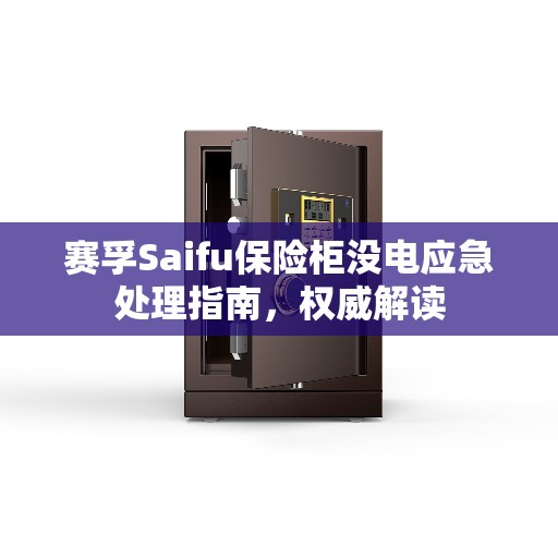 赛孚Saifu保险柜没电应急处理指南，权威解读
