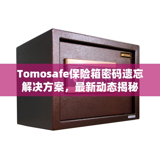 Tomosafe保险箱密码遗忘解决方案，最新动态揭秘