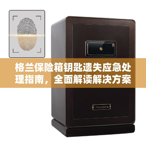 格兰保险箱钥匙遗失应急处理指南，全面解读解决方案