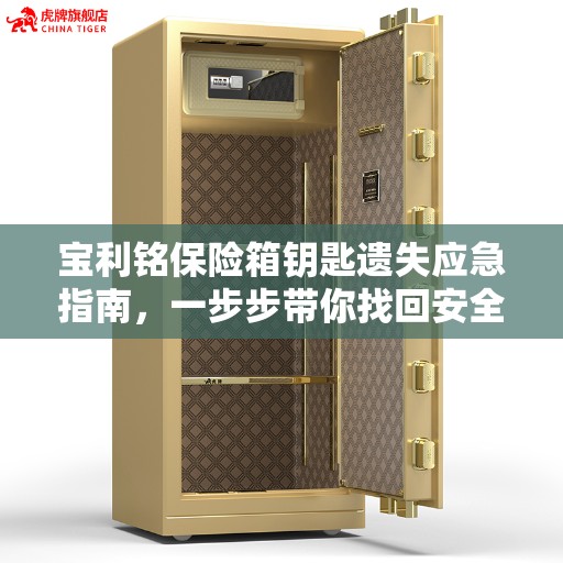 宝利铭保险箱钥匙遗失应急指南，一步步带你找回安全密钥