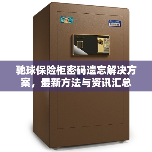 驰球保险柜密码遗忘解决方案，最新方法与资讯汇总