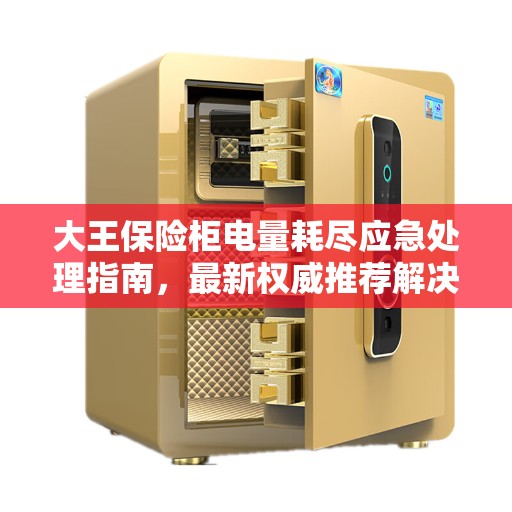 大王保险柜电量耗尽应急处理指南，最新权威推荐解决方案