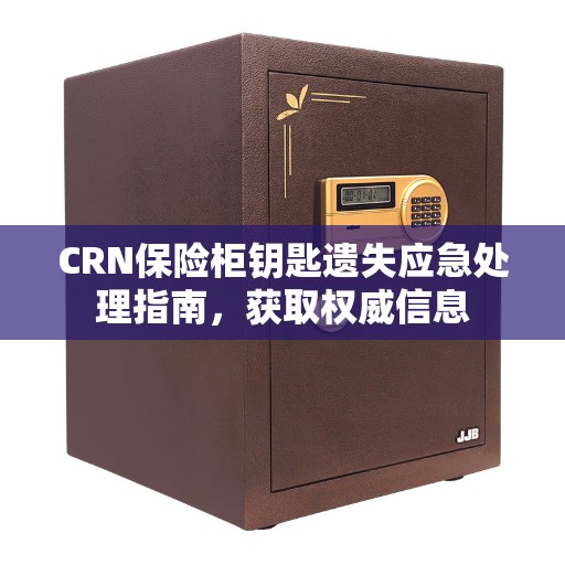 CRN保险柜钥匙遗失应急处理指南，获取权威信息