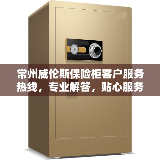 常州威伦斯保险柜客户服务热线，专业解答，贴心服务
