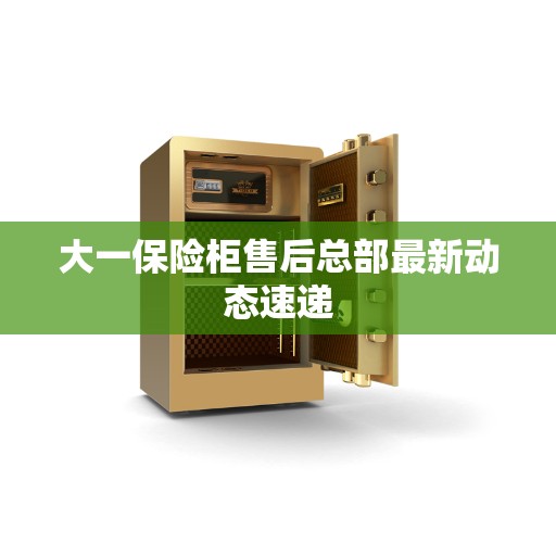 大一保险柜售后总部最新动态速递