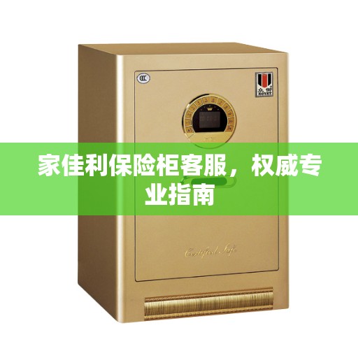 家佳利保险柜客服，权威专业指南