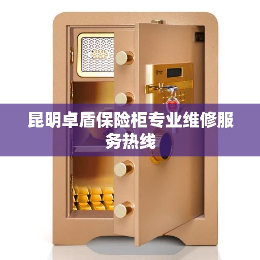 昆明卓盾保险柜专业维修服务热线