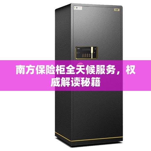 南方保险柜全天候服务，权威解读秘籍