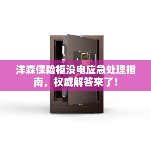 洋森保险柜没电应急处理指南，权威解答来了！