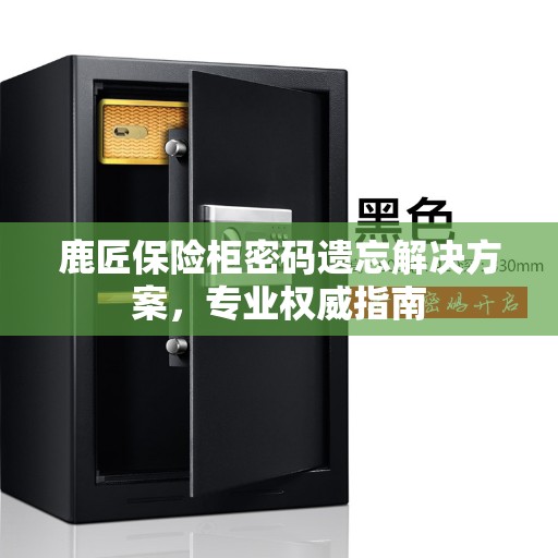 鹿匠保险柜密码遗忘解决方案，专业权威指南