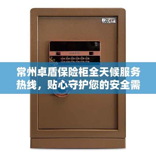 常州卓盾保险柜全天候服务热线，贴心守护您的安全需求