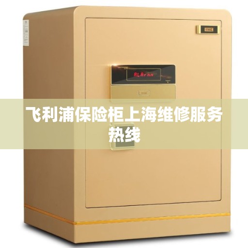 飞利浦保险柜上海维修服务热线 飞利浦保险柜上海维修服务热线