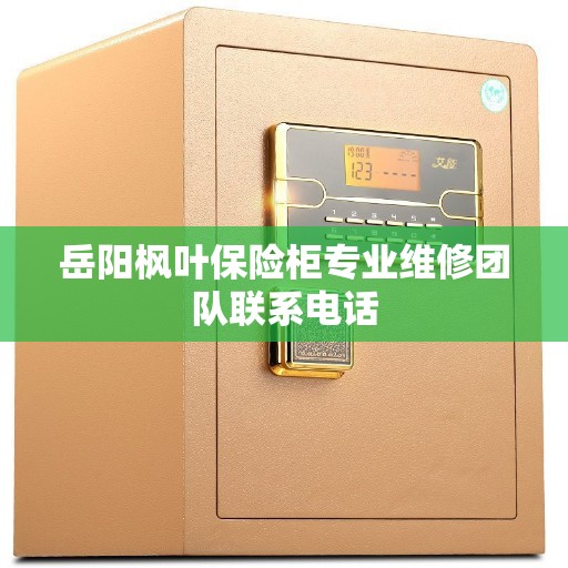 岳阳枫叶保险柜专业维修团队联系电话