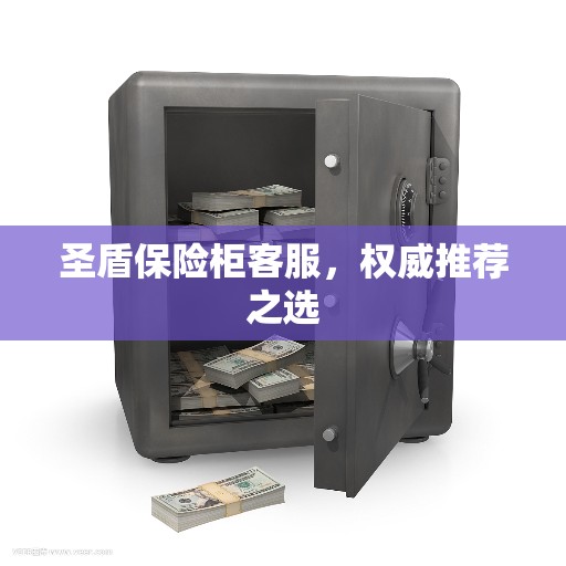 圣盾保险柜客服，权威推荐之选