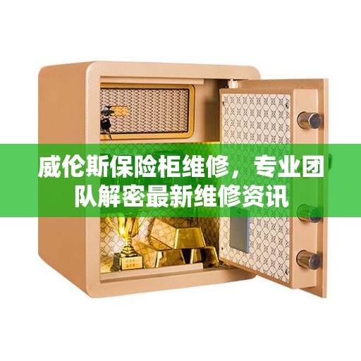 威伦斯保险柜维修，专业团队解密最新维修资讯