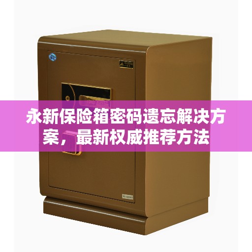 永新保险箱密码遗忘解决方案，最新权威推荐方法