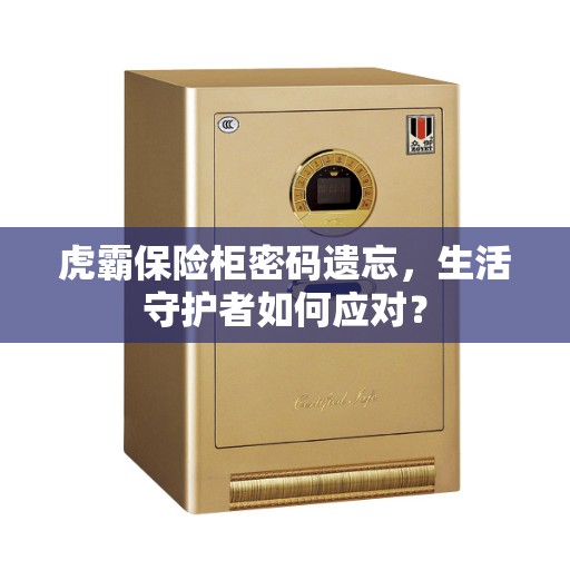 虎霸保险柜密码遗忘，生活守护者如何应对？