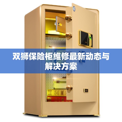 双狮保险柜维修最新动态与解决方案