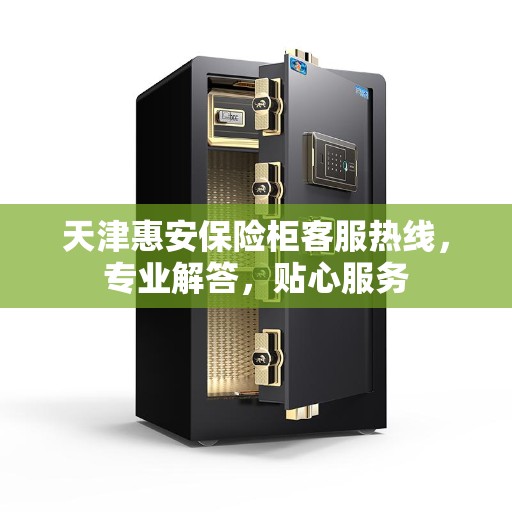 天津惠安保险柜客服热线，专业解答，贴心服务