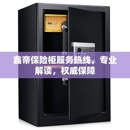 鑫帝保险柜服务热线，专业解读，权威保障