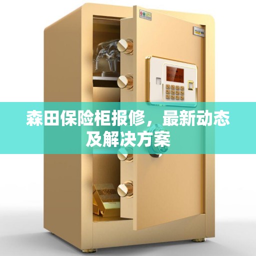 森田保险柜报修，最新动态及解决方案