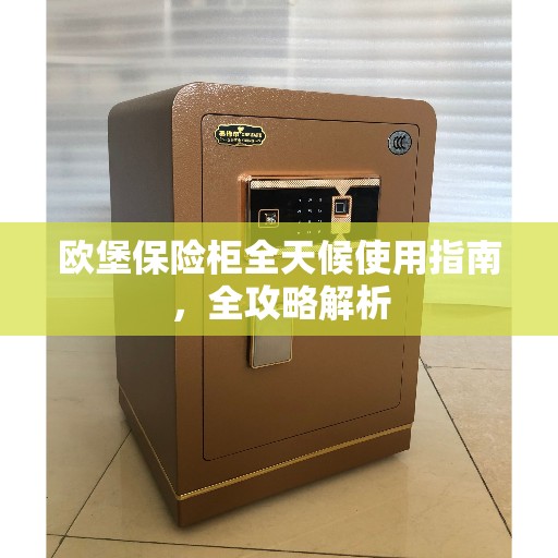 欧堡保险柜全天候使用指南，全攻略解析