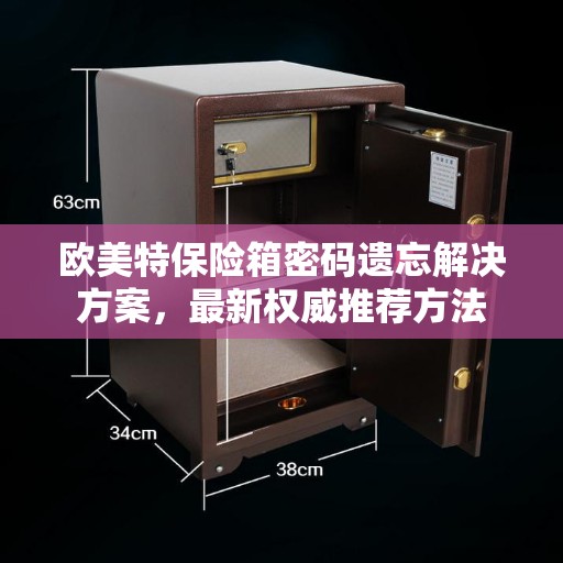 欧美特保险箱密码遗忘解决方案，最新权威推荐方法