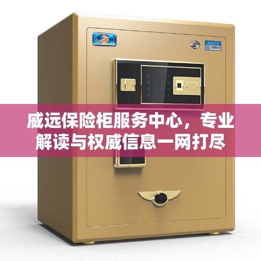 威远保险柜服务中心，专业解读与权威信息一网打尽