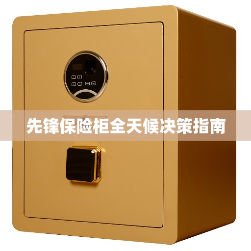 先锋保险柜全天候决策指南