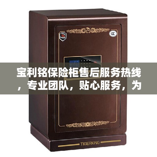 宝利铭保险柜售后服务热线，专业团队，贴心服务，为您的安全保驾护航。