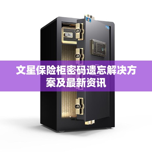 文星保险柜密码遗忘解决方案及最新资讯