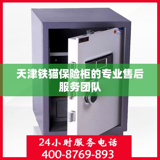 天津铁猫保险柜的专业售后服务团队